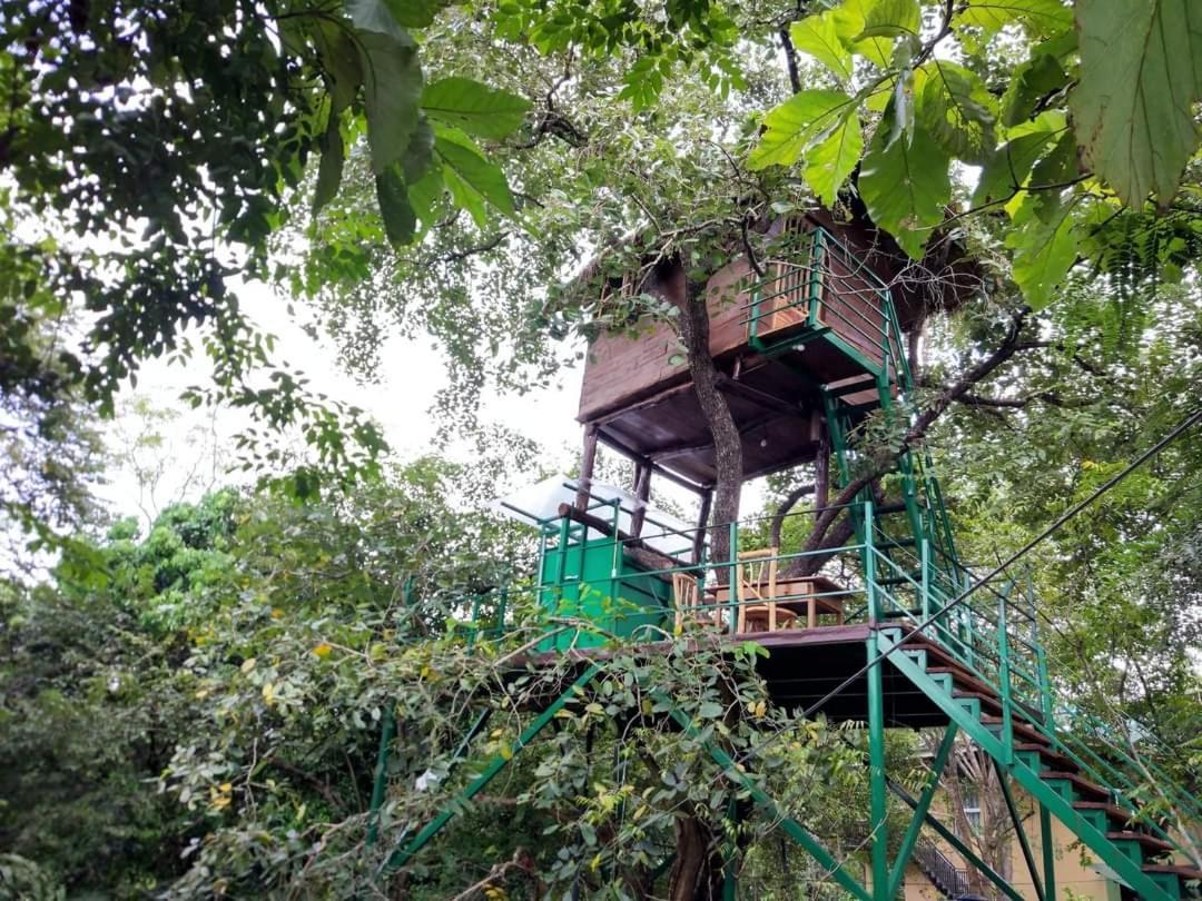 Wildescape Polonnaruwa Βίλα Εξωτερικό φωτογραφία