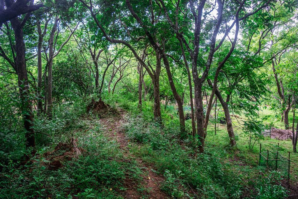 Wildescape Polonnaruwa Βίλα Εξωτερικό φωτογραφία