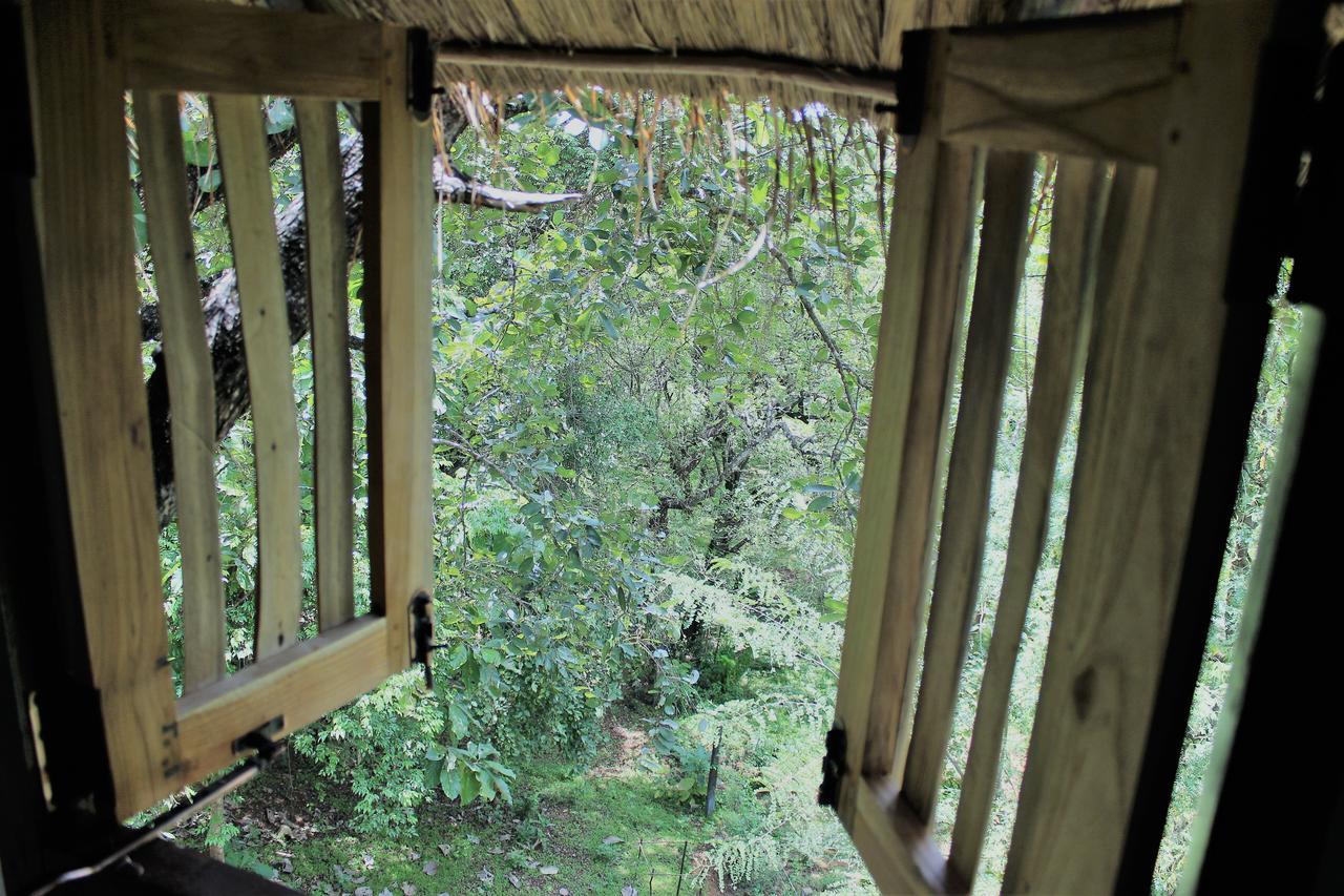 Wildescape Polonnaruwa Βίλα Εξωτερικό φωτογραφία