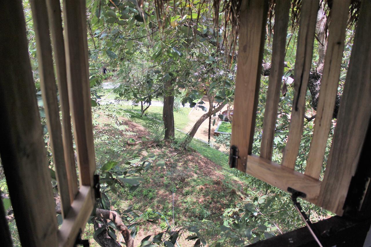 Wildescape Polonnaruwa Βίλα Εξωτερικό φωτογραφία